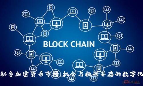 探秘秘鲁加密货币市场：机会与挑战并存的数字化未来
