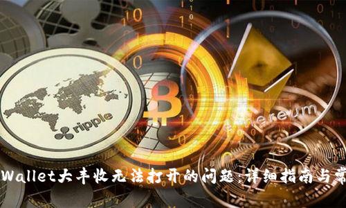 如何解决TPWallet大丰收无法打开的问题：详细指南与常见故障排查