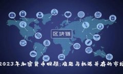 2023年加密货币回顾:难题与机遇并存的市场