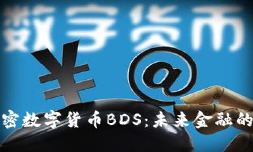 深入了解加密数字货币BDS:未来金融的革命性选择