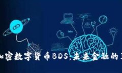 深入了解加密数字货币BDS：未来金融的革命性选
