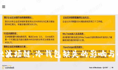 TPWallet波场链:冷钱包缺失的影响与解决方案