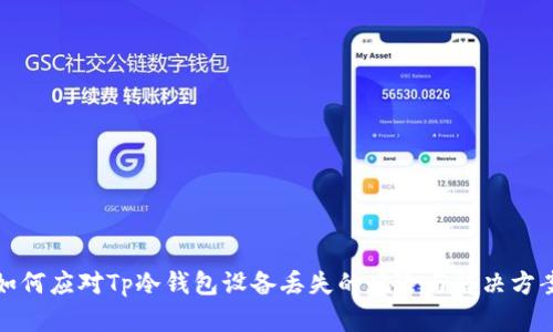 如何应对Tp冷钱包设备丢失的风险与解决方案