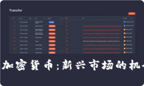 TikTok与加密货币:新兴市场的机会与挑战