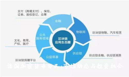 法国加密货币分叉:市场动态与投资机会