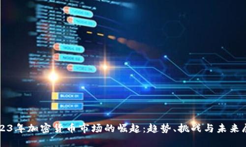 2023年加密货币市场的崛起：趋势、挑战与未来展望