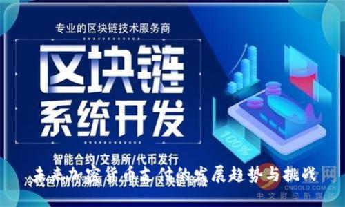 未来加密货币支付的发展趋势与挑战