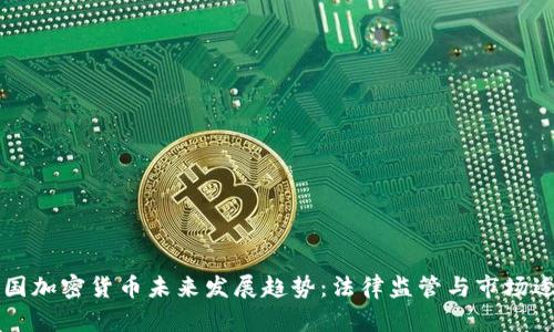 美国加密货币未来发展趋势:法律监管与市场适应