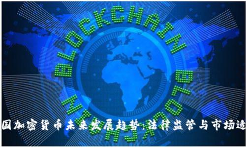 美国加密货币未来发展趋势:法律监管与市场适应