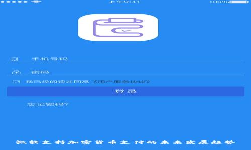 微软支持加密货币支付的未来发展趋势