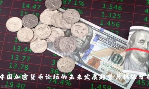 中国加密货币论坛的未来发展趋势与机遇分析