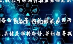 tpwallet切换不了中文的原因与解决方案在当今数字