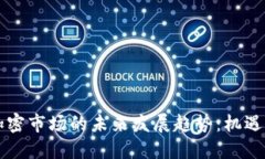 货币加密市场的未来发展趋势：机遇与挑战