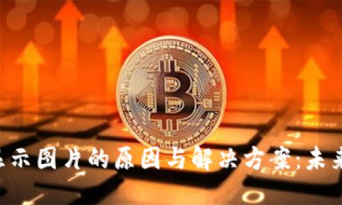 ### 
TPWallet NFT不显示图片的原因与解决方案：未来NFT发展趋势解析