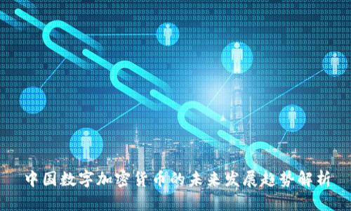 中国数字加密货币的未来发展趋势解析