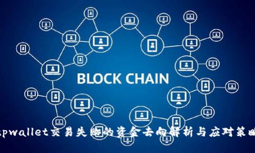 tpwallet交易失败的资金去向解析与应对策略