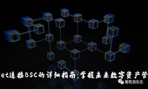TPWallet连接BSC的详细指南：掌握未来数字资产管理趋势