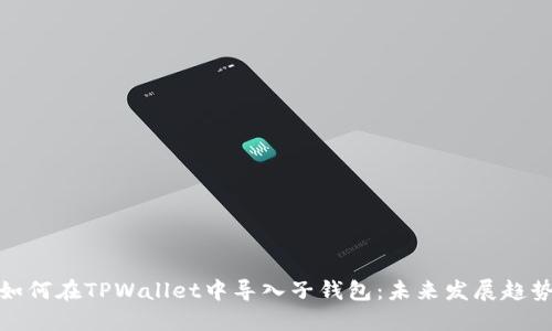 如何在TPWallet中导入子钱包：未来发展趋势