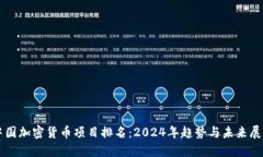 中国加密货币项目排名：2024年趋势与未来展望