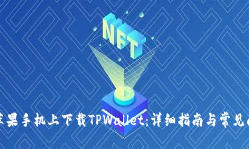 如何在苹果手机上下载TPWallet：详细指南与常见问题解答