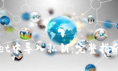 : 如何在TPWallet中导入私钥：完整指南与常见问题解答