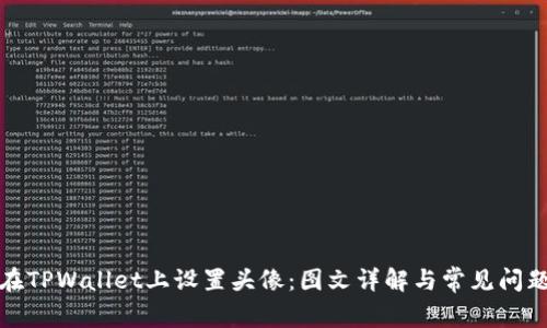 如何在TPWallet上设置头像：图文详解与常见问题解答