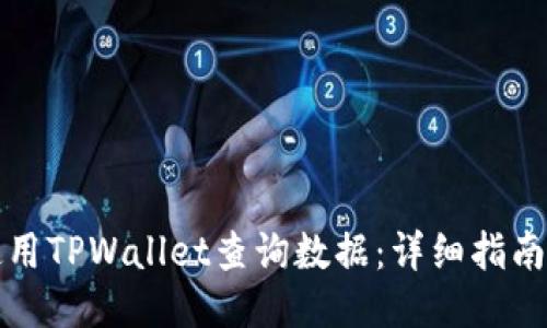 如何使用TPWallet查询数据：详细指南与技巧