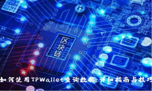 如何使用TPWallet查询数据：详细指南与技巧