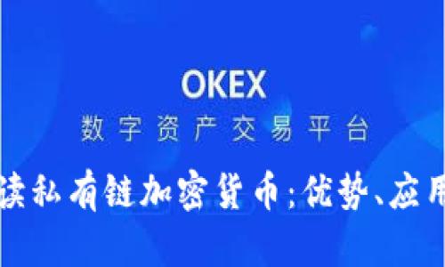 全面解读私有链加密货币：优势、应用与挑战